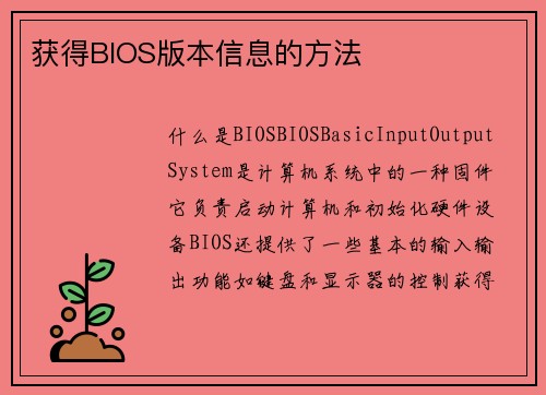 获得BIOS版本信息的方法